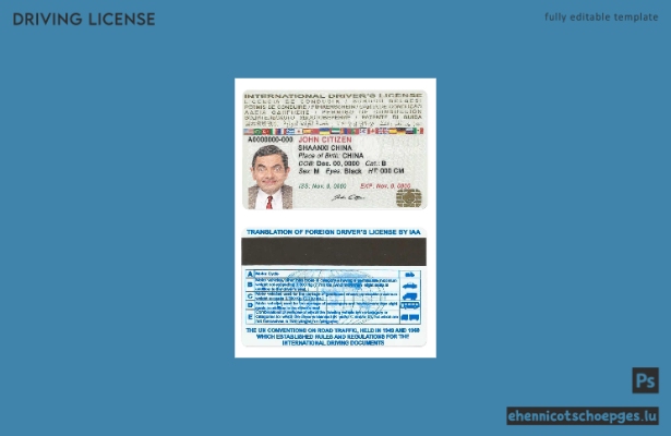 Vorschau eines Beispiels für einen internationalen Führerschein